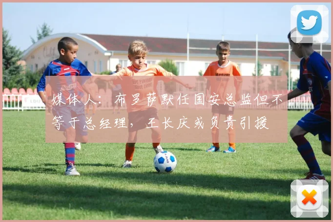 媒体人：布罗萨默任国安总监但不等于总经理，王长庆或负责引援